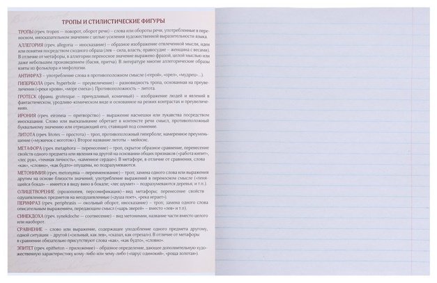 Набор предметных тетрадей Calligrata MonoTone. Английский язык + Литература + Русский язык, 36 л, А5+, комбинированная, мягкая обложка, 3 шт купить,NaN