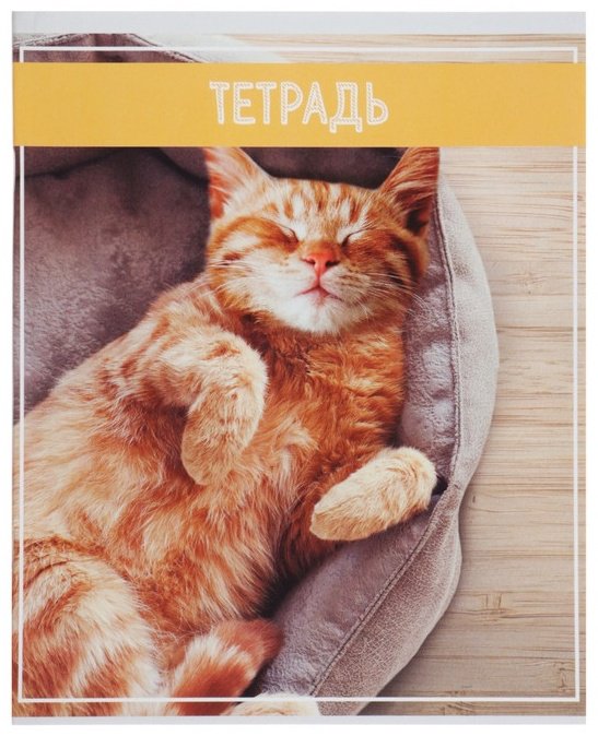 Набор общих тетрадей Calligrata Кошки, 36 л, А5+, клетка, мягкая обложка, 5 шт купить,NaN