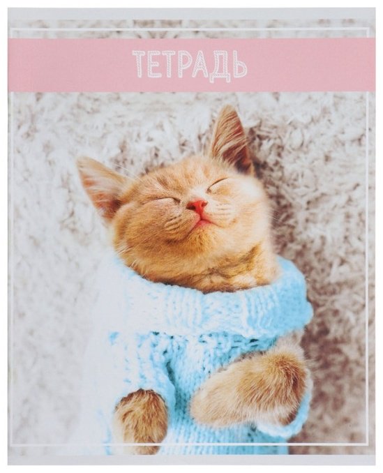 Набор общих тетрадей Calligrata Кошки, 36 л, А5+, клетка, мягкая обложка, 5 шт купить,NaN