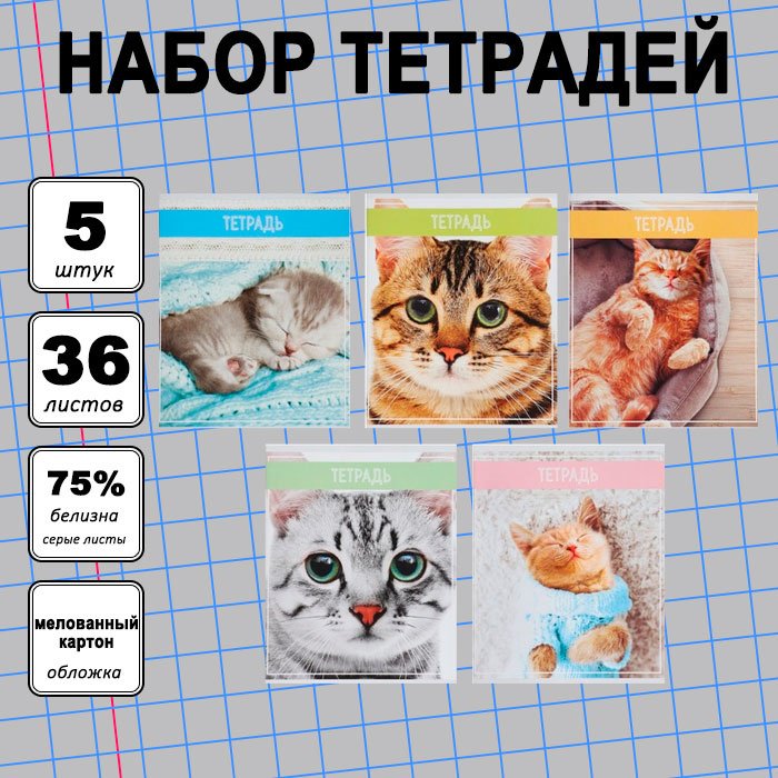 Набор общих тетрадей Calligrata Кошки, 36 л, А5+, клетка, мягкая обложка, 5 шт купить,NaN