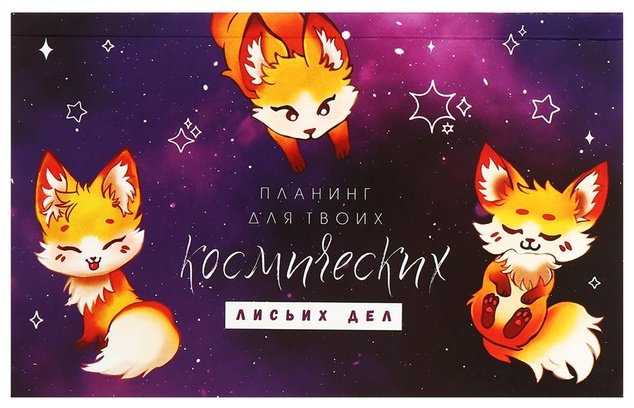 Планинг Calligrata Котокосмос A6 50 листов купить,NaN