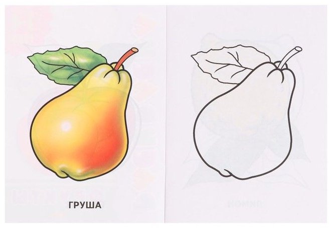 Раскраска для малышей «Фрукты» купить,NaN