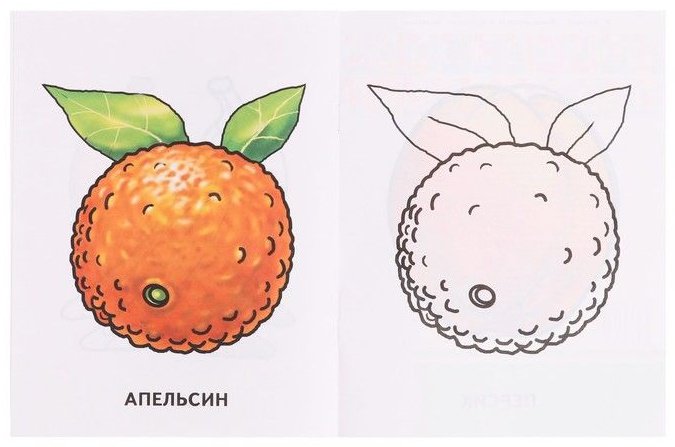 Раскраска для малышей «Фрукты» купить,NaN