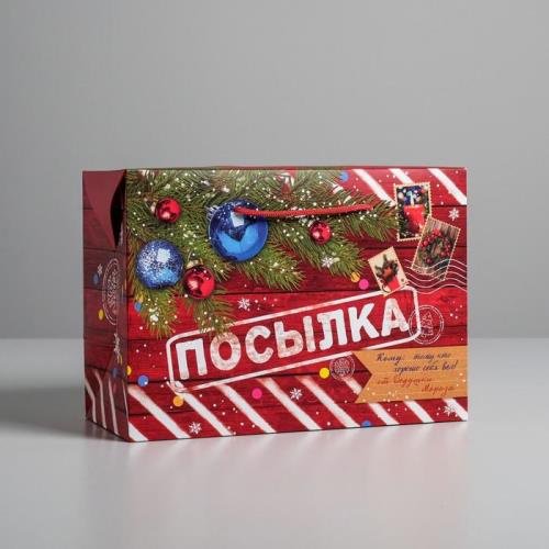 Пакет-коробка Новогодняя посылка Дарите Счастье 1 шт картон 20х28 см купить,NaN