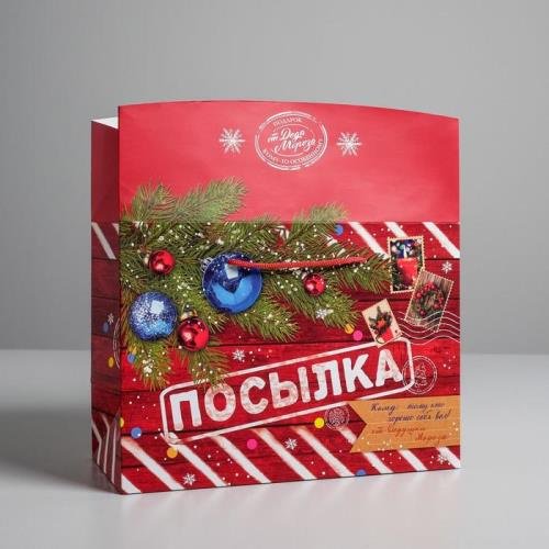 Пакет-коробка Новогодняя посылка Дарите Счастье 1 шт картон 20х28 см купить,NaN