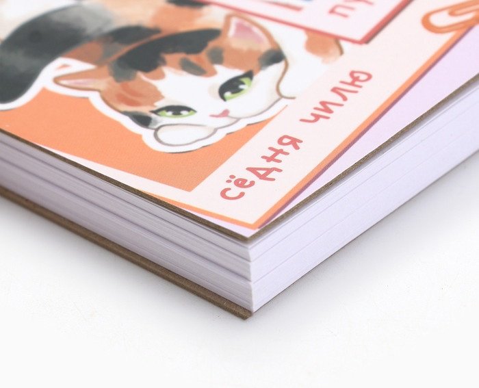Скетчбук ArtFox Котики A5 80 листов купить,NaN