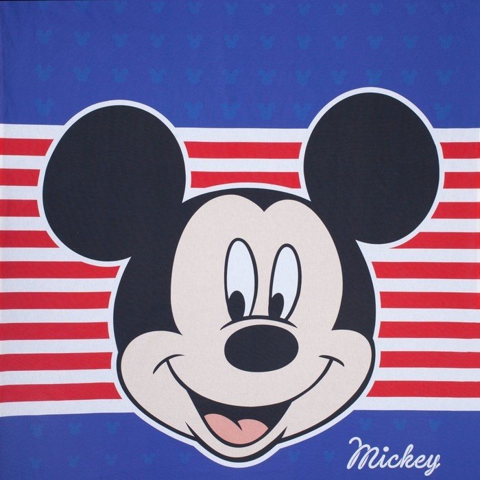 Комплект Disney 1.5-спальный поплин, : 50x70 см купить,NaN