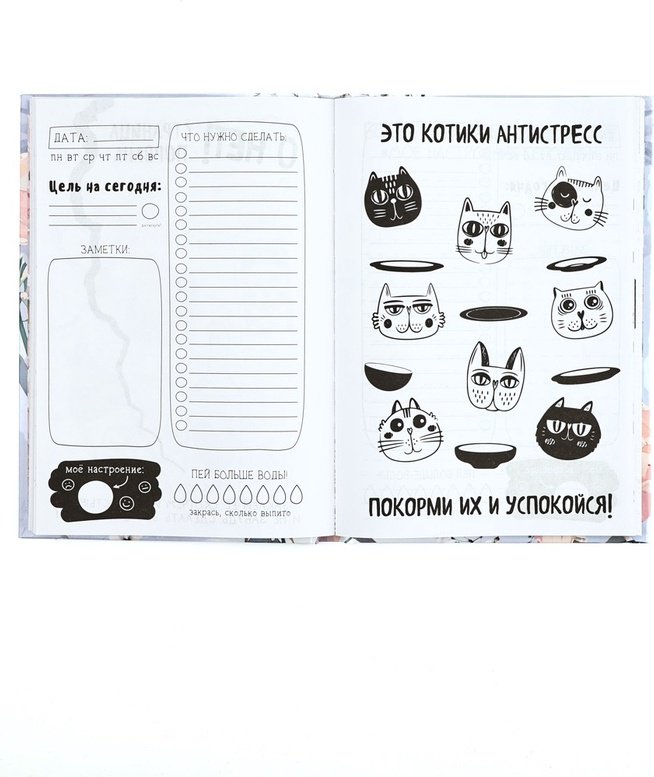 Ежедневник ArtFox Время творить чудеса A5 120 листов купить,NaN