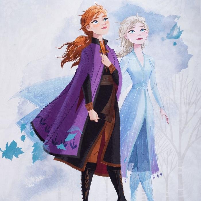 Комплект Disney Forest spirit Холодное сердце 1.5-спальный поплин, 1 наволочка: 50x70 см купить,NaN