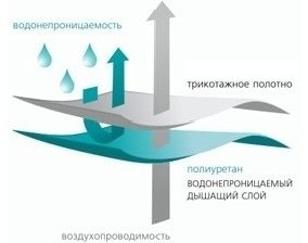 Vegas Stressfree L1 200х200 - ForteMarket Vegas Stressfree L1 200х200 купить,0