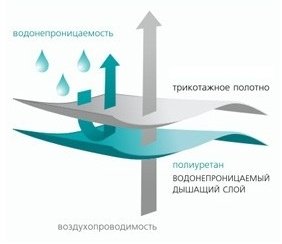 Vegas Stressfree L1 90х200 белый - ForteMarket Vegas Stressfree L1 90х200 белый купить,0
