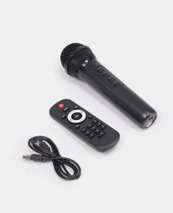 Портативная колонка N-8301 черный купить,41000