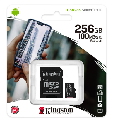 Карта памяти Kingston SDCS2/256GB Class 10 256GB + адаптер купить,0