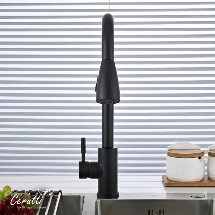 Смеситель Cerutti SPA CT12107, нержавеющая сталь, цвет черный