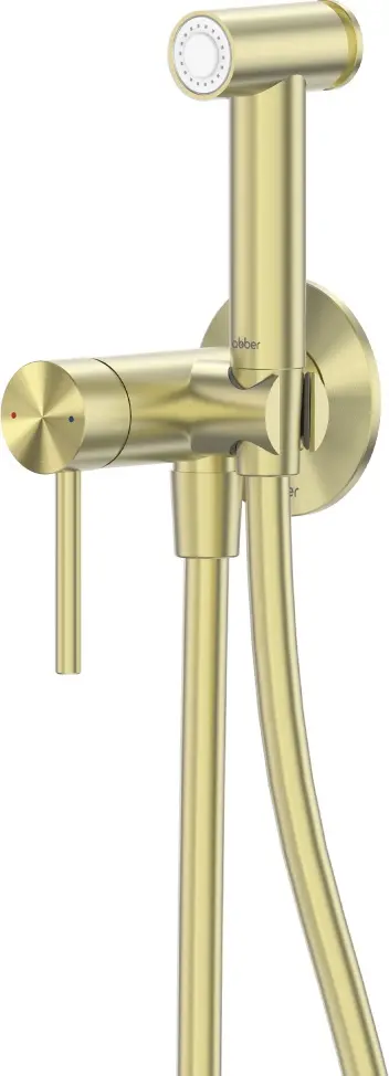 Abber гигиенический душ AF8125BG купить,203700