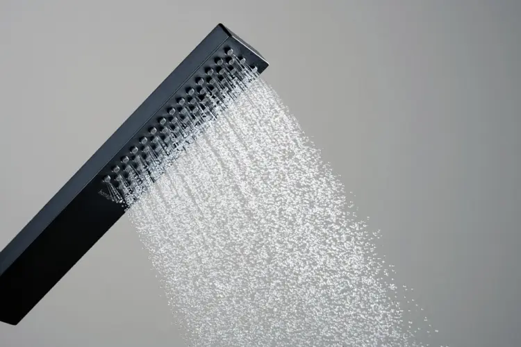 Hansgrohe лейка для душа (без шланга) Pulsify E 1jet EcoSmart 24320670 купить,NaN