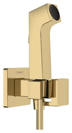 Hansgrohe гигиенический душ 29231990 купить,NaN