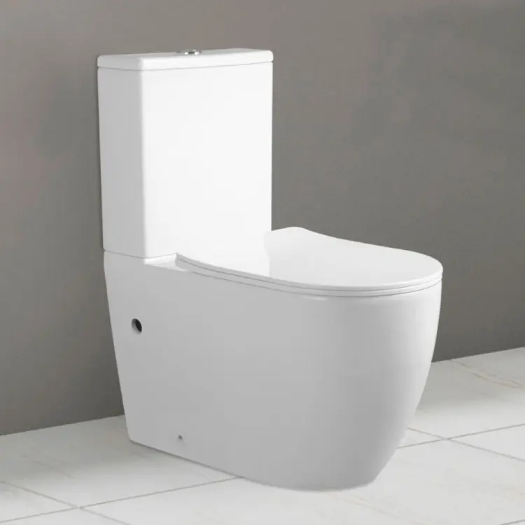 Унитаз Hans 8301TQHS, санфарфор
