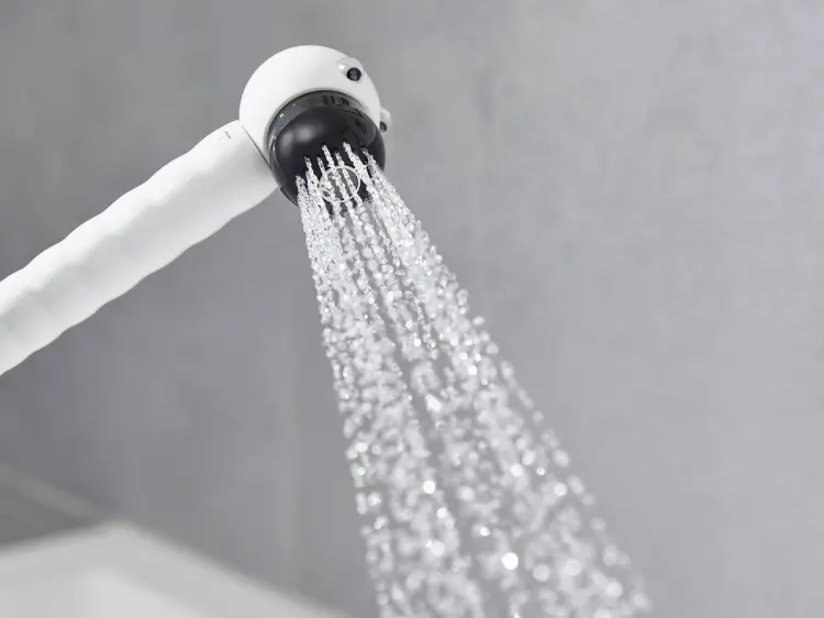 Hansgrohe лейка для душа (шланг в комплекте) Jocolino 2jet Zebra 28787640 купить,NaN