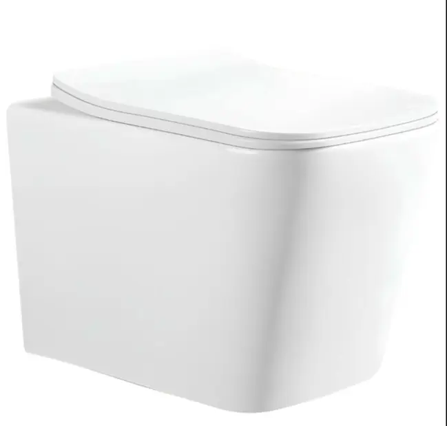 Унитаз Hans 2303HS, санфарфор