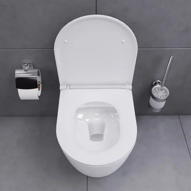 Унитаз damixa DX86C1700SC Sirius, санфарфор