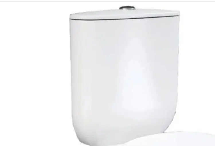 Бачок для унитаза Rak Ceramics санфарфор 9 л, Morning MORWT1800AWHA