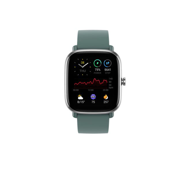 Смарт-часы Xiaomi Amazfit GTS 2 Mini Sage Green купить,NaN