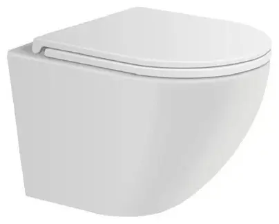 Saniteco унитаз Rimless, санфарфор