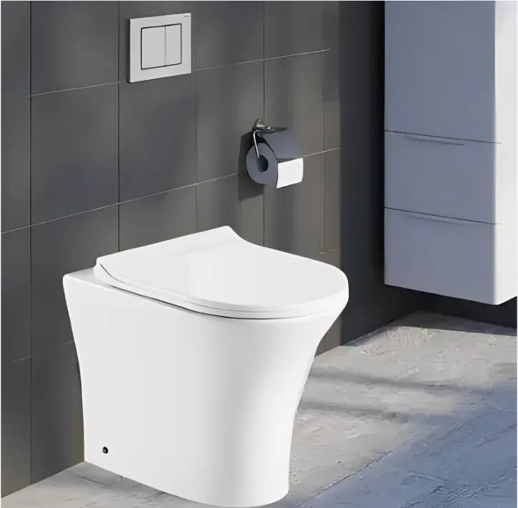 Cerutti унитаз BERNINA F, санфарфор безободковый, сиденье с микролифтом Cerutti SPA