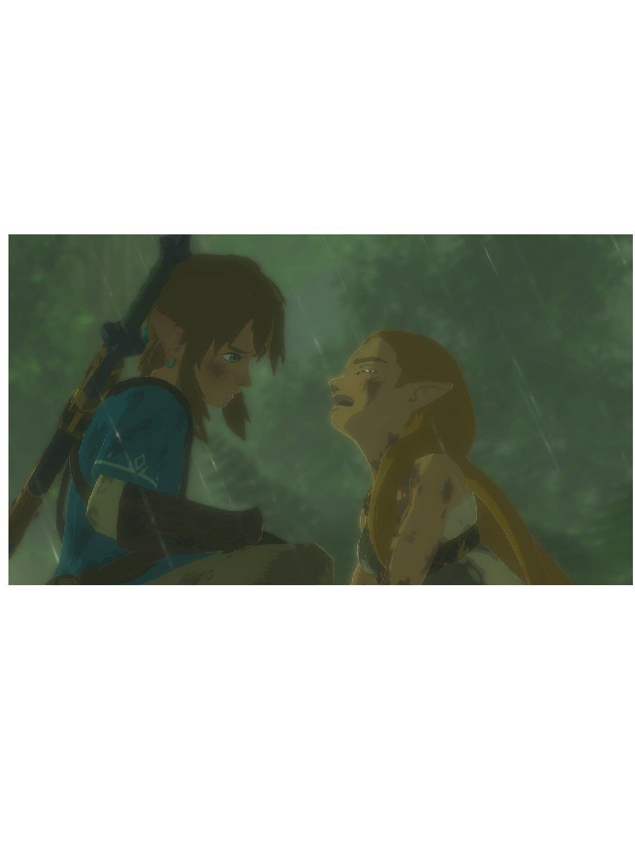 Игра для Nintendo The Legend of Zelda Breath of the Wild купить,0