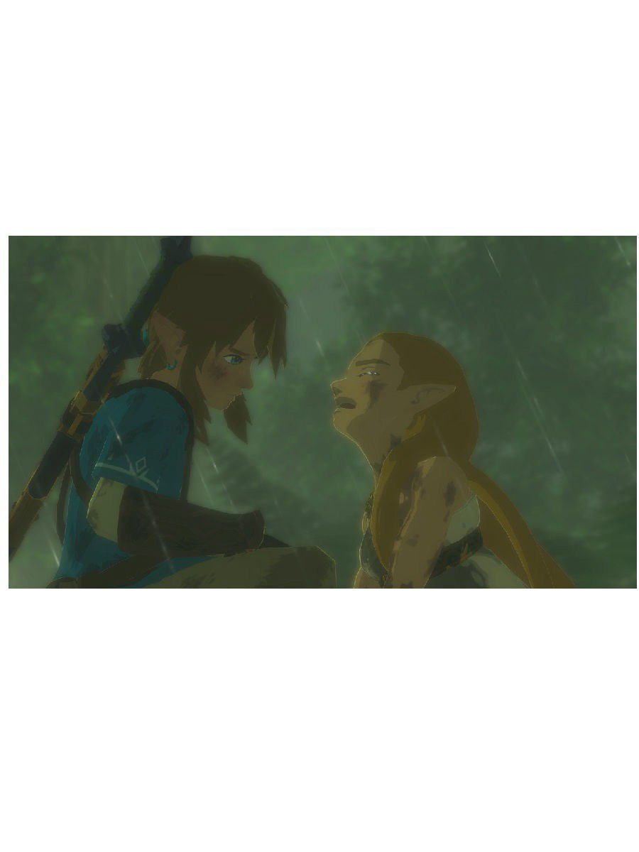 Игра для Nintendo The Legend of Zelda Breath of the Wild купить,NaN