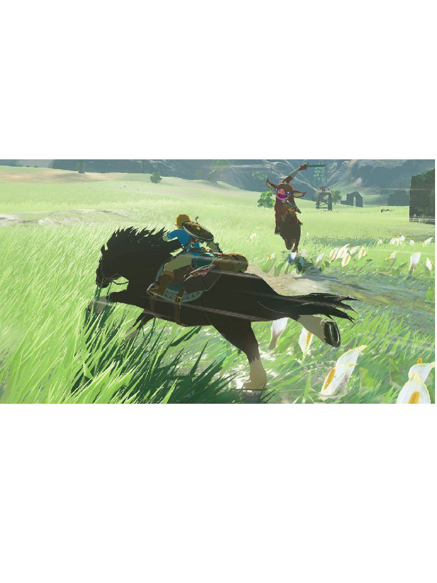 Игра для Nintendo The Legend of Zelda Breath of the Wild купить,NaN