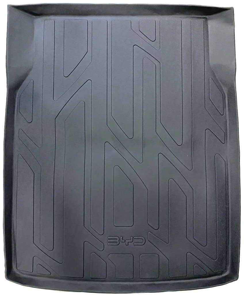BYD 00123 BYD Qin 2021 черный