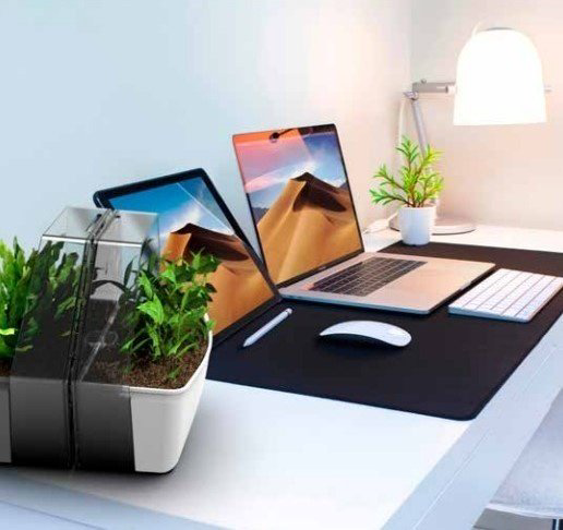 GF горшок MODO GF86010001, пластик купить,NaN