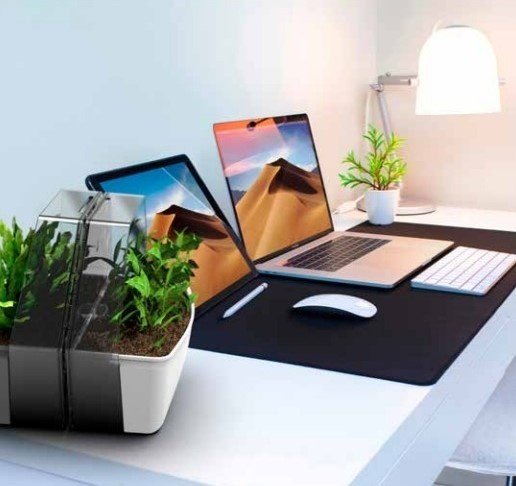 GF горшок MODO GF86010003, пластик - ForteMarket GF горшок MODO GF86010003, пластик купить,0