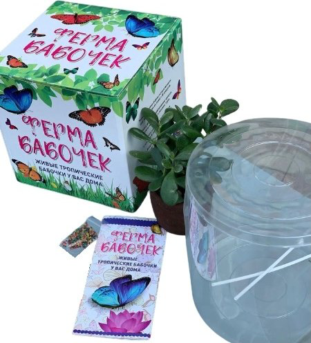 Papilio.Almaty изучение насекомых 855562