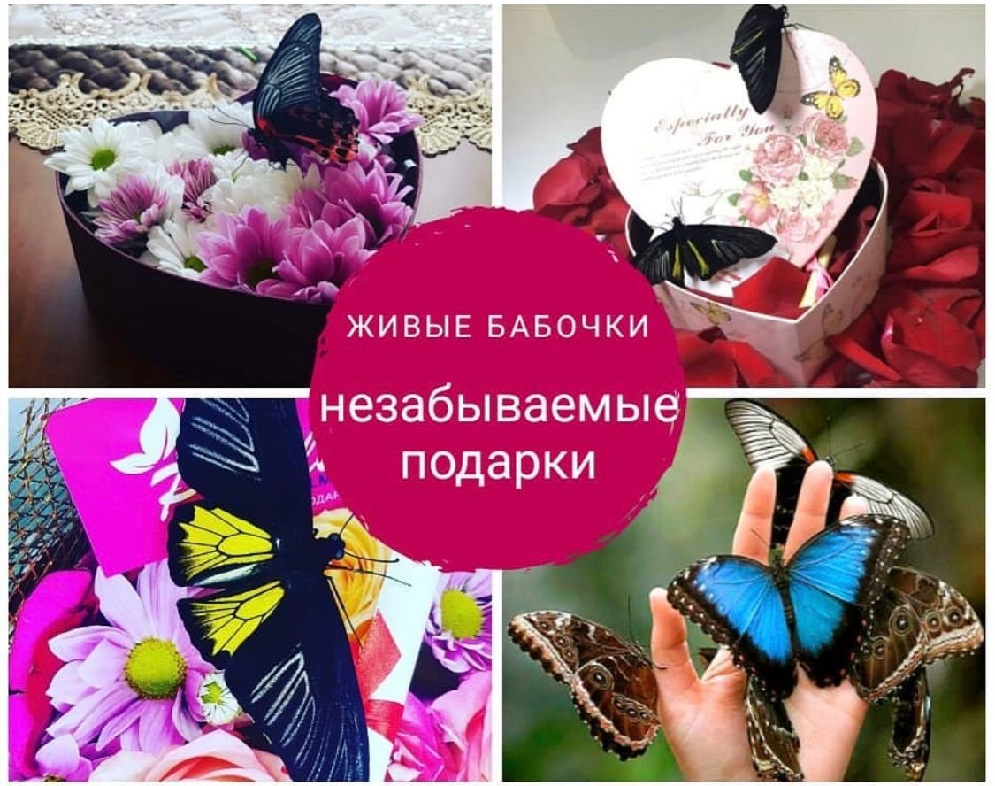 Ферма бабочек Papilio.Almaty 635985, зеленый