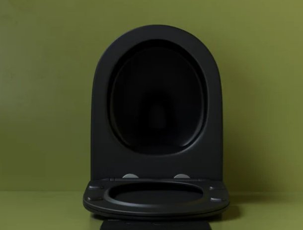Унитаз Ceramicanova CN11001MB черный