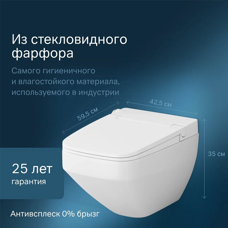 Унитаз AM.PM CCC50A1700SC белый купить,NaN