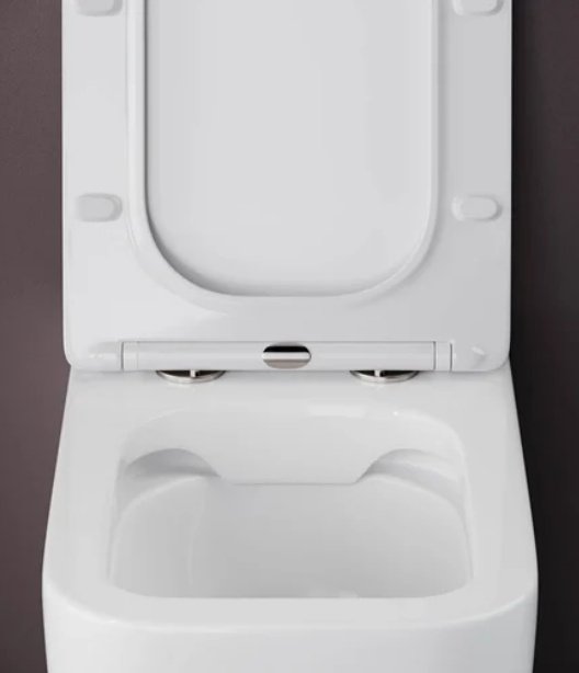 Ceramicanova унитаз CN1809, санфарфор купить,0