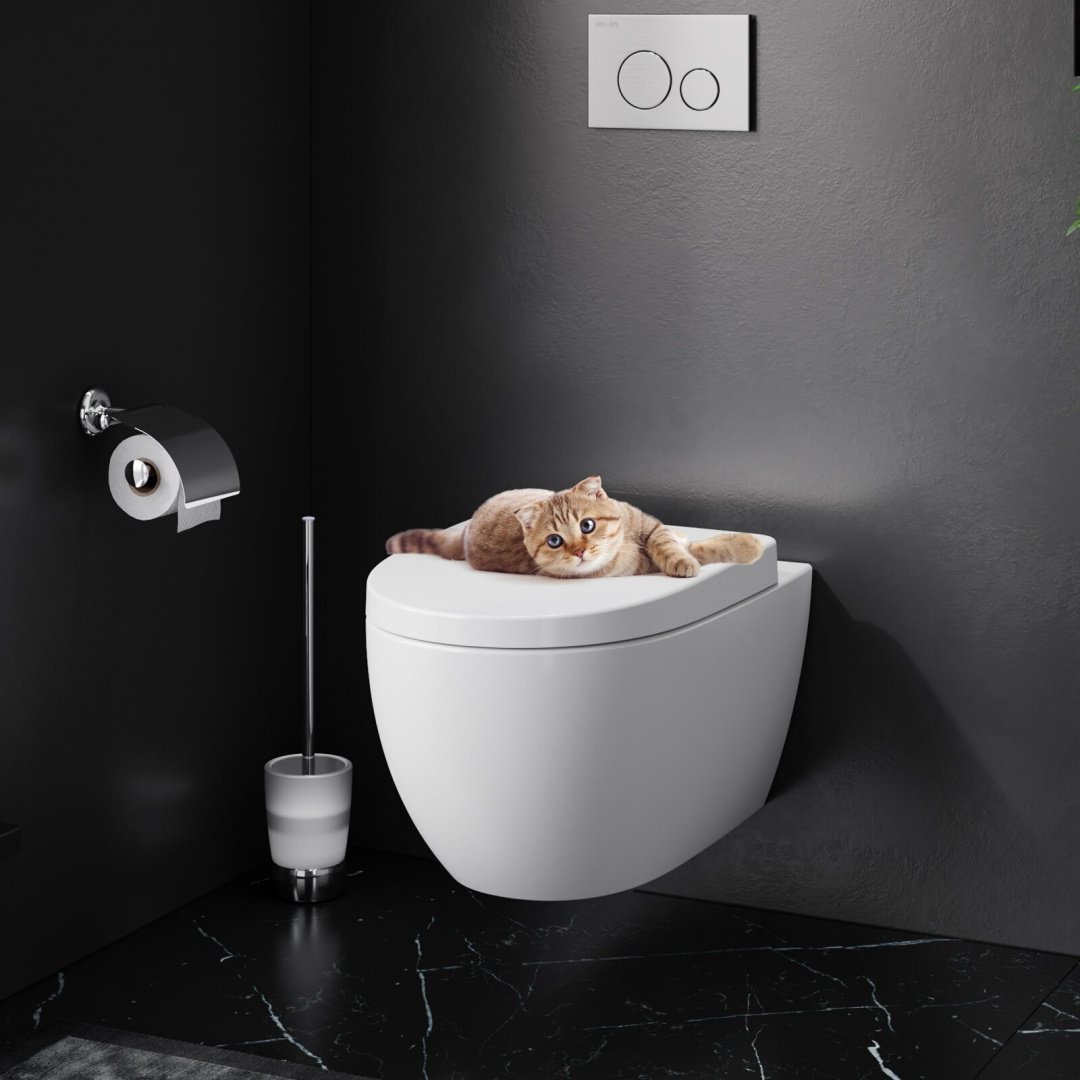 Унитаз AM.PM C111738SC белый купить,function inputValueFn(){if((0,signal2.mK)(node),node.value===REQUIRED_UNSET_VALUE)throw new root_effect_scheduler.buA(-950,null);return node.value}