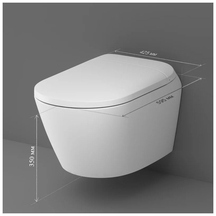 AM.PM унитаз-биде TouchReel CCC301700SC Sensation, санфарфор купить,0