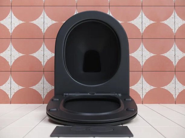 Ceramicanova унитаз CN3001MB, санфарфор купить,0