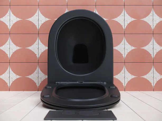 Унитаз Ceramicanova CN3001MB черный купить,NaN
