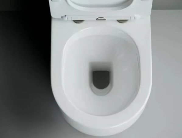 Унитаз Ceramicanova CN4001-B белый купить,210200