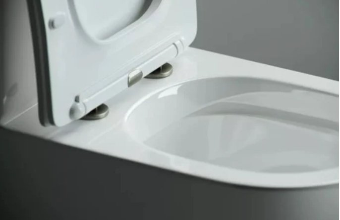 Унитаз Ceramicanova CN4001-B белый купить,210200