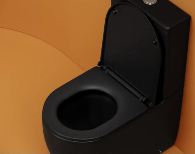 Унитаз Ceramicanova CN4001T-BMB черный купить,482800