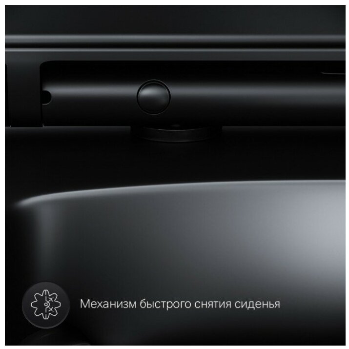 AM.PM унитаз C701700MBSC, санфарфор купить,0