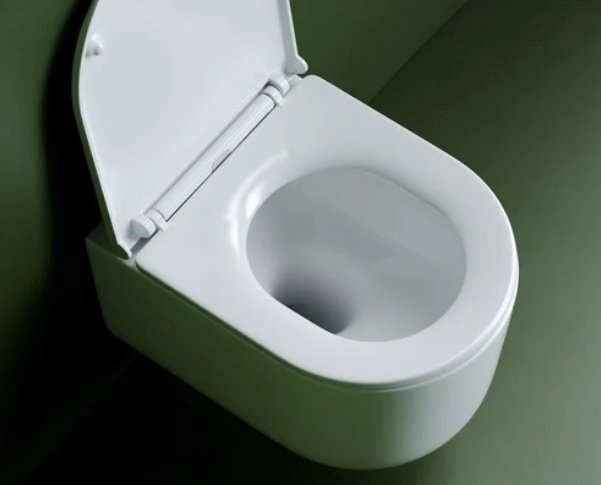 Уунитаз Ceramicanova CN4006T белый купить,266859