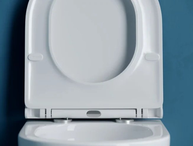 Ceramicanova унитаз CN4008T, санфарфор купить,0